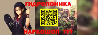 jwh Ярославль
