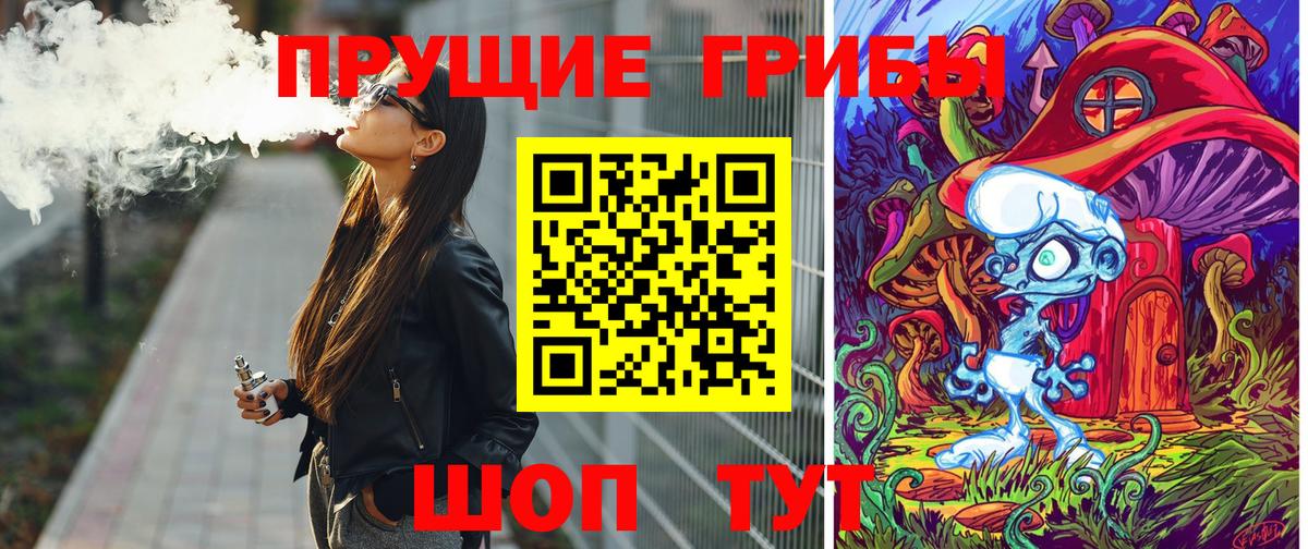 Карачаевск  Псилоцибиновые грибы ЛСД  Вход с VPN 